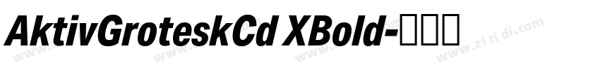 AktivGroteskCd XBold字体转换